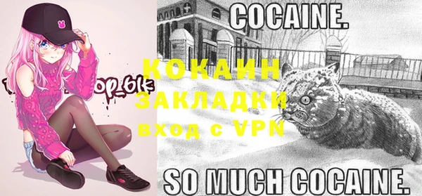 дживик Белоозёрский