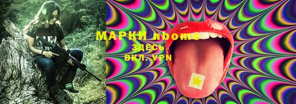 индика Богданович