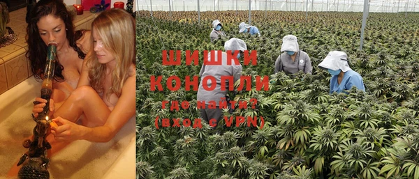ешки Белокуриха